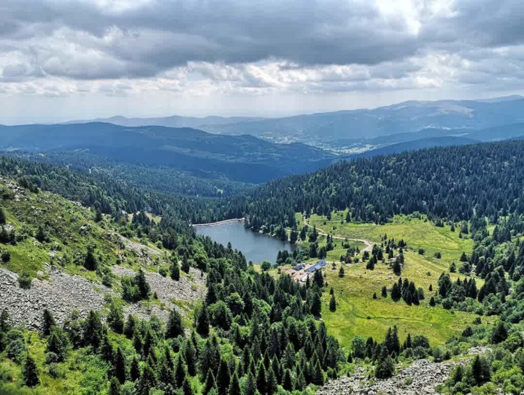 2025-paysages-1-audrey_yaga