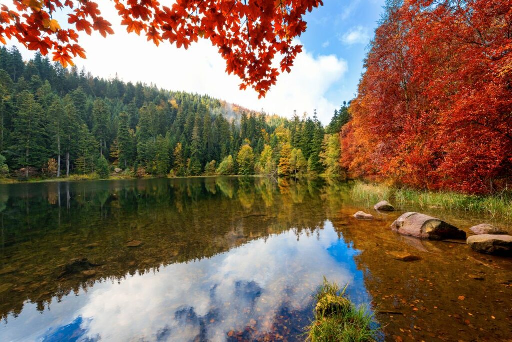 2025-paysages-1280