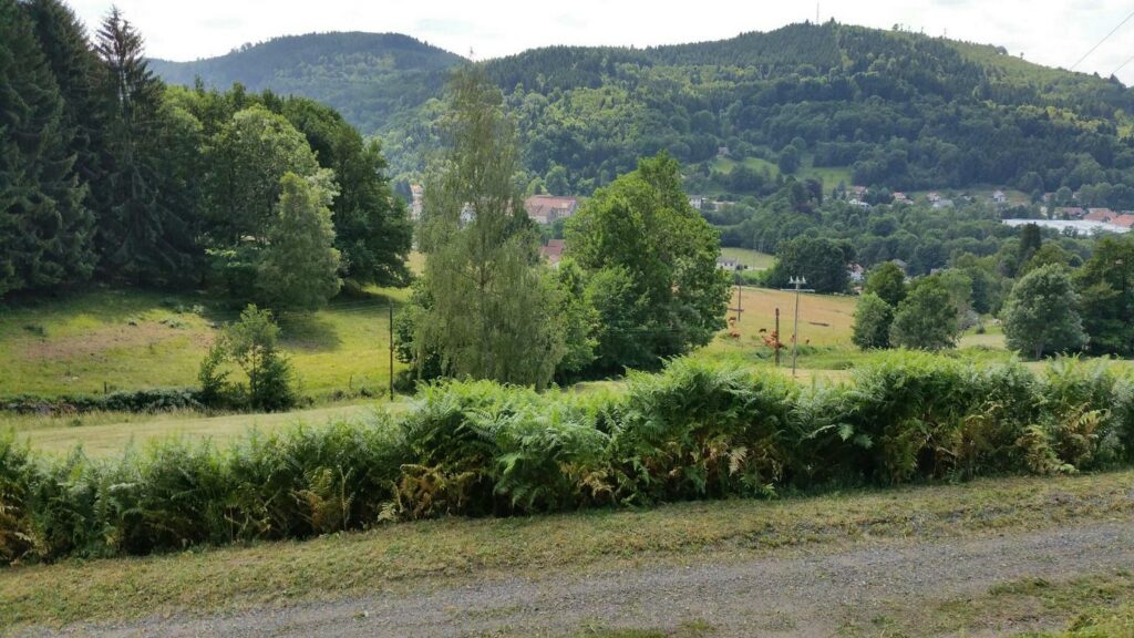 2025-paysages-258711-14_H88G003246_595201d98816e_2e3c6cc1772c813374df9bc802c52b10