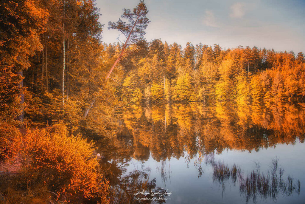 2025-paysages-Autumn-Vision-in-Summer